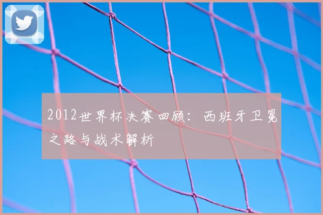 2012世界杯决赛回顾：西班牙卫冕之路与战术解析