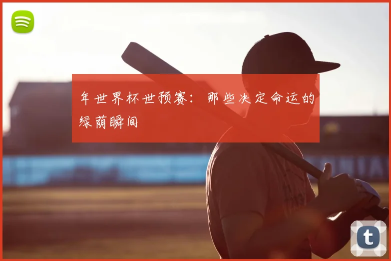 年世界杯世预赛：那些决定命运的绿荫瞬间