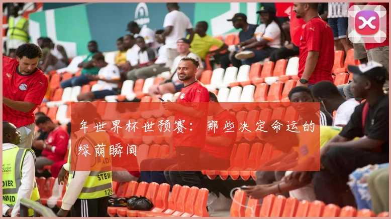 年世界杯世预赛：那些决定命运的绿荫瞬间