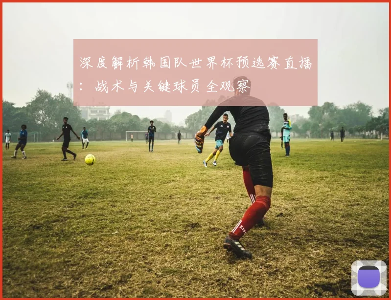 深度解析韩国队世界杯预选赛直播：战术与关键球员全观察