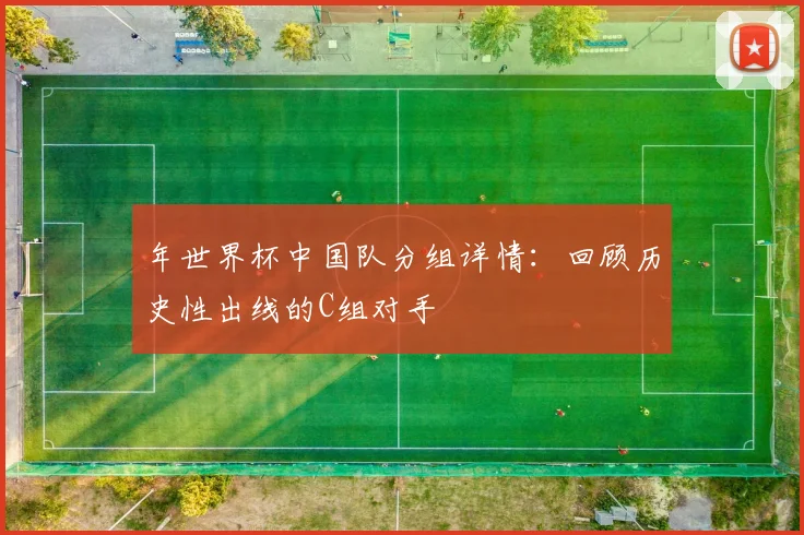年世界杯中国队分组详情：回顾历史性出线的C组对手