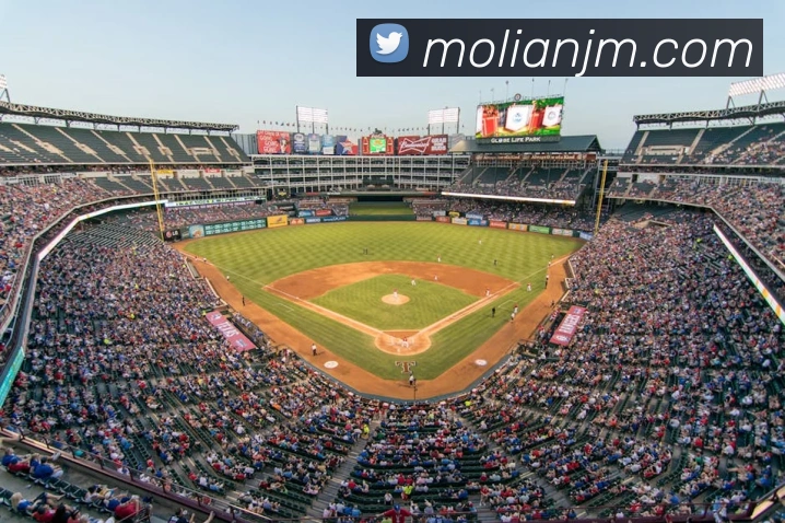 leyu乐鱼官方官网平台生态图